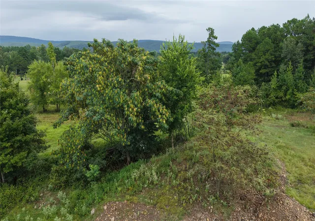 Photo 3 of Land for sale at 69150 Us Hwy 259, Smithville, OK 74957 | MLS# 2634050 | Listing updated on 2026-09-15