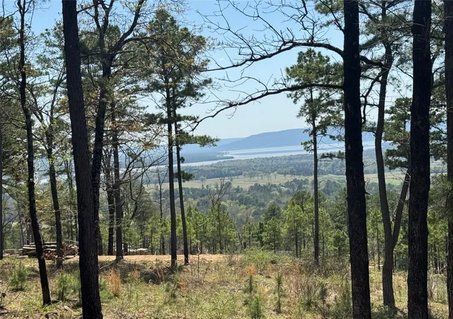 Photo 3 of Land for sale at Timber Ridge Rd, Tuskahoma, OK 74574 | MLS# 2634302 | Listing updated on 2026-10-08