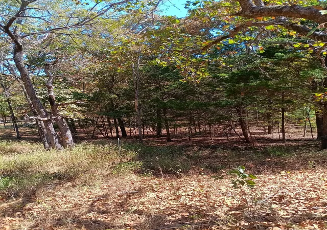 Photo 3 of Land for sale at 123 W Woodland Ct, Park Hill, OK 74451 | MLS# 2634533 | Listing updated on 2026-09-18