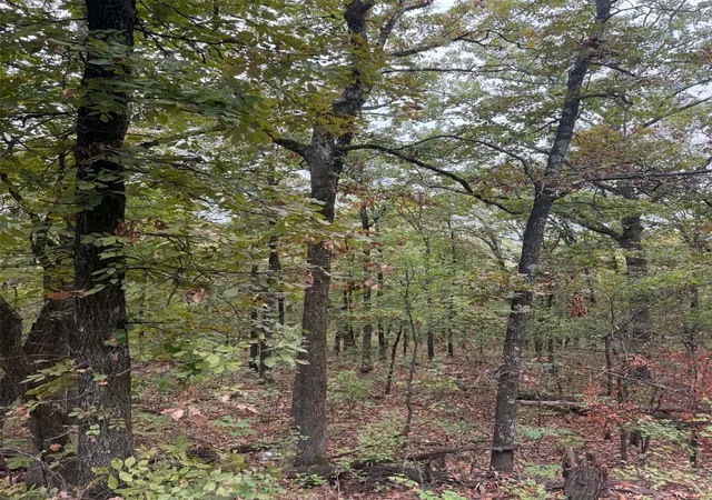 Photo 2 of Land for sale at 000 Big Rock Rd, Park Hill, OK 74451 | MLS# 2635019 | Listing updated on 2026-09-22