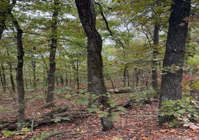 Photo 3 of Land for sale at 000 Big Rock Rd, Park Hill, OK 74451 | MLS# 2635019 | Listing updated on 2026-09-22