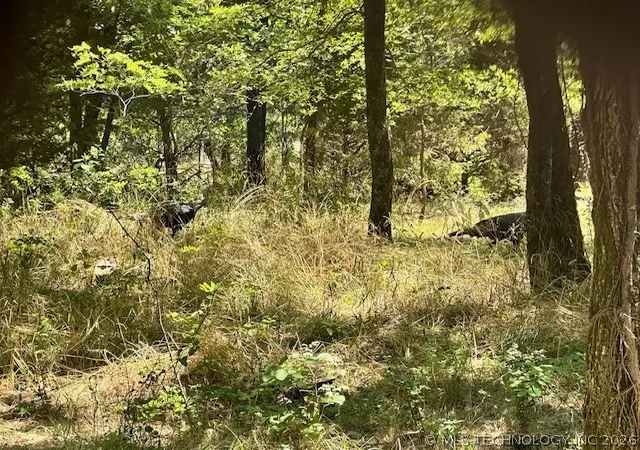 Photo 3 of Land for sale at W 789 Road, Fort Gibson, OK 74434 | MLS# 2634528 | Listing updated on 2026-09-23