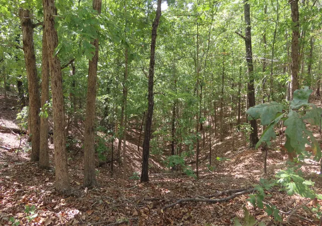 Photo 2 of Land for sale at Old Toll Gate Rd, Oaks, OK 74359 | MLS# 2634378 | Listing updated on 2026-09-24