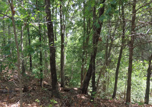 Photo 3 of Land for sale at Old Toll Gate Rd, Oaks, OK 74359 | MLS# 2634378 | Listing updated on 2026-09-24