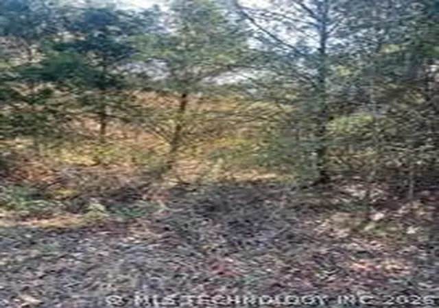 Photo 3 of Land for sale at Goff Cir, Dyer, AR 72935 | MLS# 2635968 | Listing updated on 2026-09-30