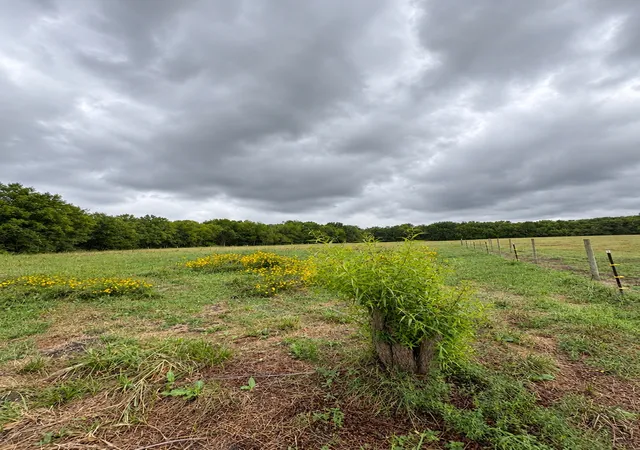 Land for sale at 9204 N Lewis Ave, Sperry, OK 74073 | MLS# 2635991