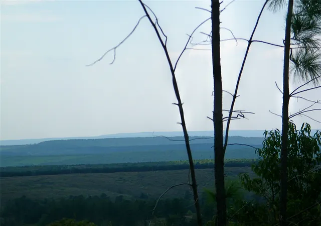 Photo 1 of Land for sale at 259 Highway, Smithville, OK 74957 | MLS# 2636202 | Listing updated on 2026-10-01