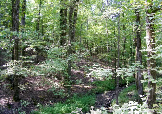 Photo 2 of Land for sale at 259 Highway, Smithville, OK 74957 | MLS# 2636202 | Listing updated on 2026-10-01