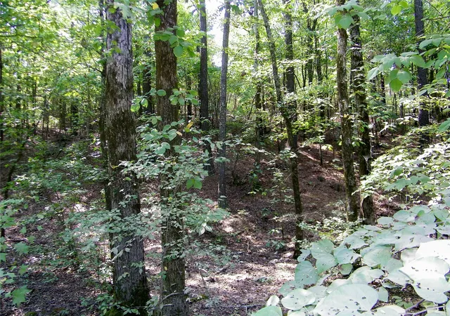 Photo 3 of Land for sale at 259 Highway, Smithville, OK 74957 | MLS# 2636202 | Listing updated on 2026-10-01
