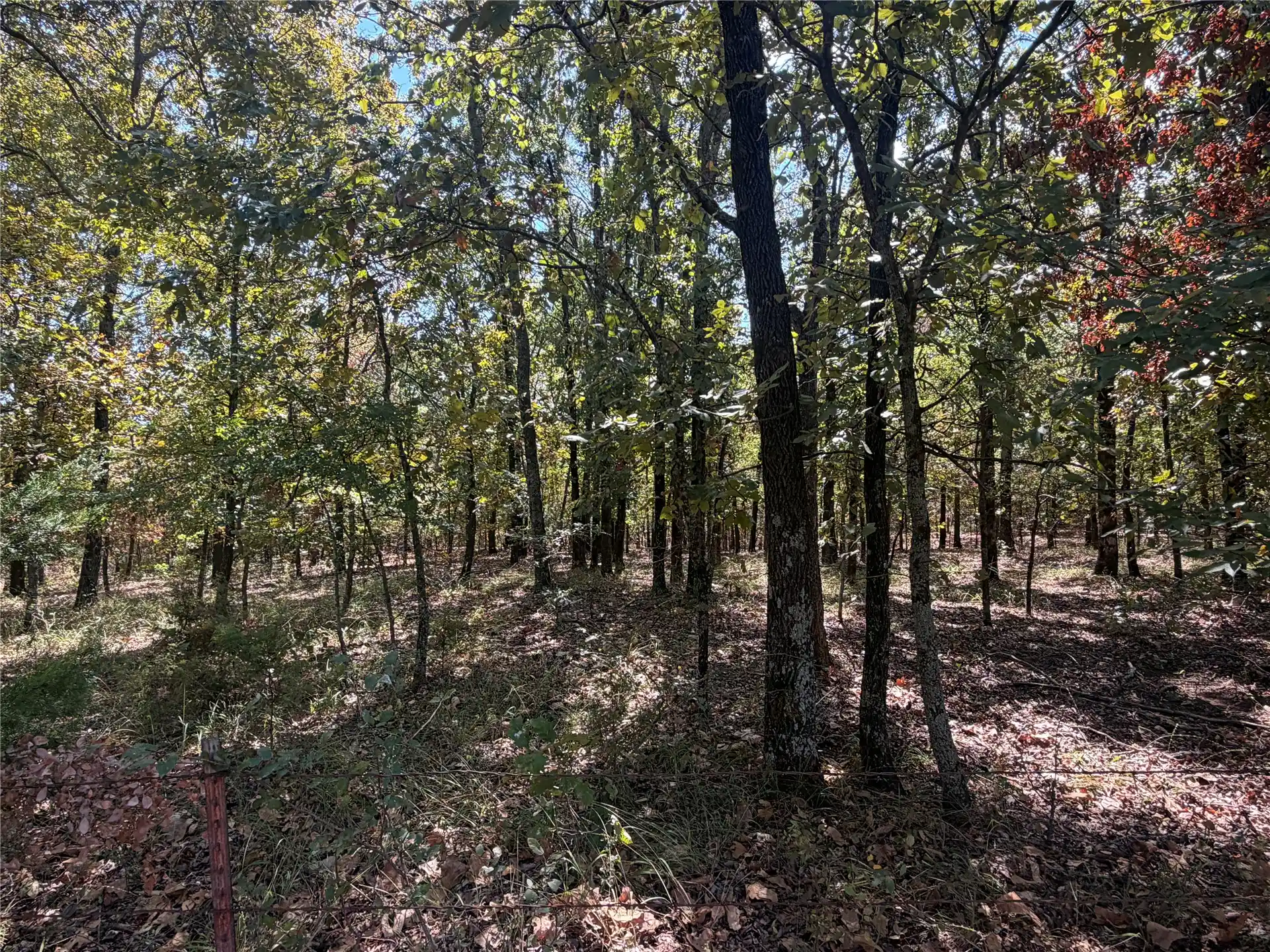 Photo 1 of Land for sale at Davis Rd, Lane, OK 74555 | MLS# 2636400 | Listing updated on 2026-10-25