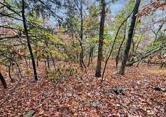 Photo 1 of Land for sale at S 4545 Loop, Vian, OK 74962 | MLS# 2636512 | Listing updated on 2026-10-05