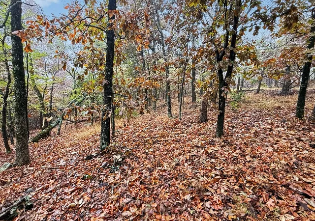 Photo 2 of Land for sale at S 4545 Loop, Vian, OK 74962 | MLS# 2636512 | Listing updated on 2026-10-05