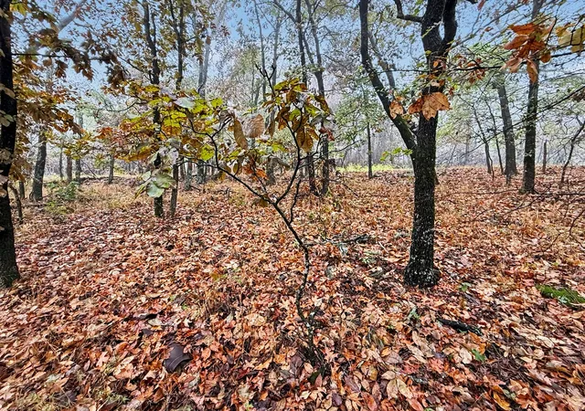 Photo 3 of Land for sale at S 4545 Loop, Vian, OK 74962 | MLS# 2636512 | Listing updated on 2026-10-05