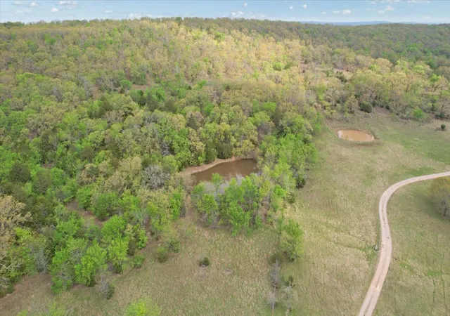 Photo 2 of Land for sale at 001 E Fred's Fish Camp Rd, Stringtown, OK 74569 | MLS# 2636654 | Listing updated on 2026-10-06