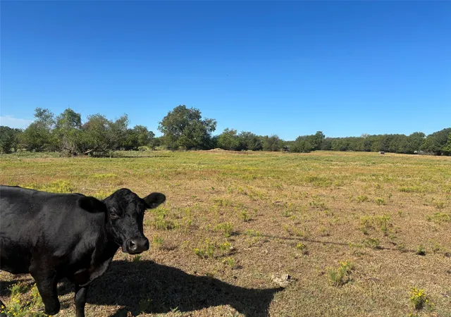 Photo 3 of Land for sale at 0 49th Street, Durant, OK 74701 | MLS# 2636587 | Listing updated on 2026-10-07