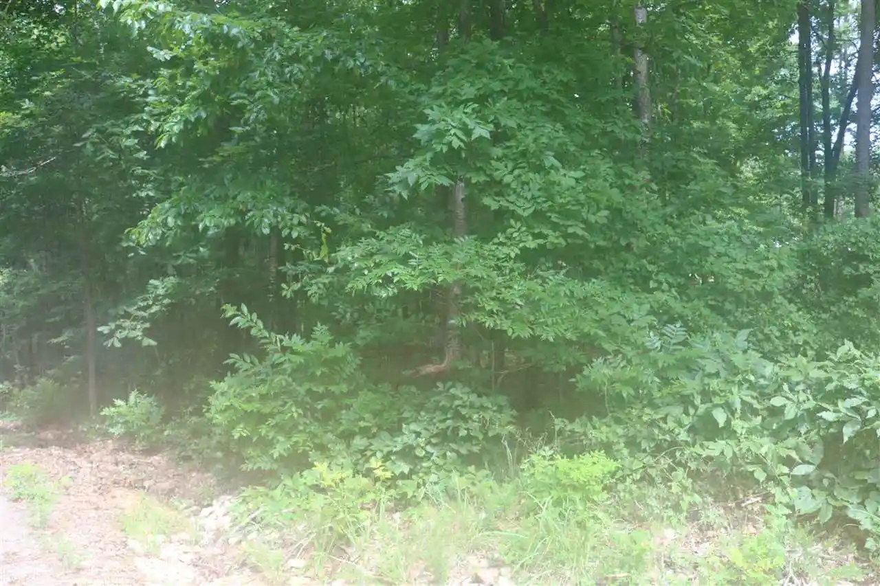 1st image of Ymca S Muscatel & Ymca Ln, Counce, TN 38326 | MLS# 10020469