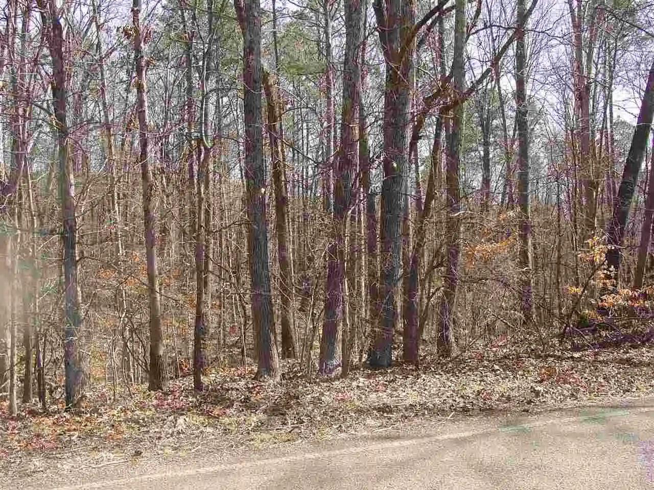 2nd image of Ymca S Muscatel & Ymca Ln, Counce, TN 38326 | MLS# 10020469
