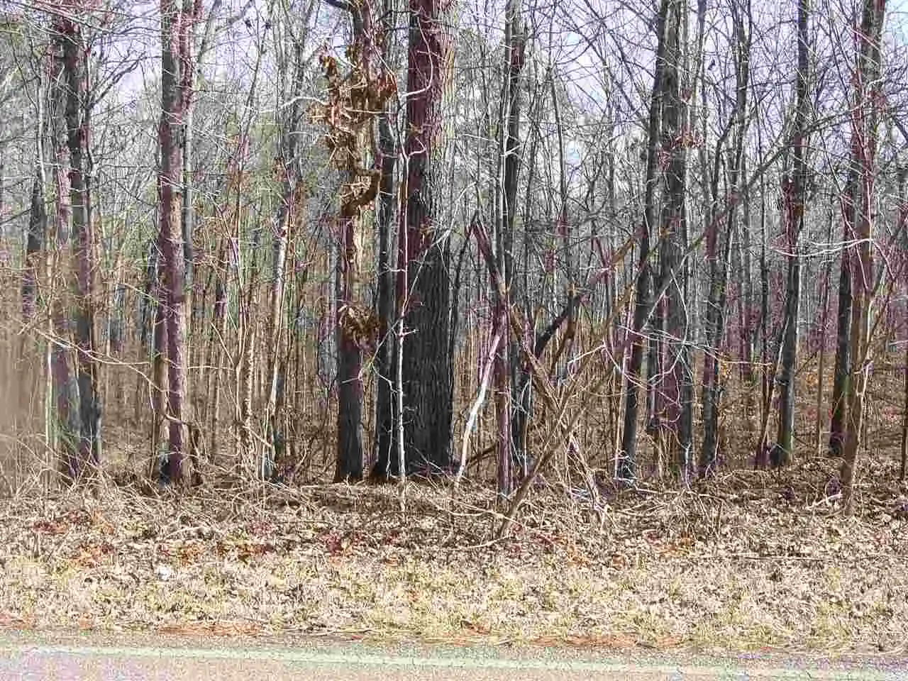 Photo 3 of Land for sale at Ymca S Muscatel & Ymca Ln, Counce, TN 38326 | MLS# 10020469 | Listing updated on 2026-05-23