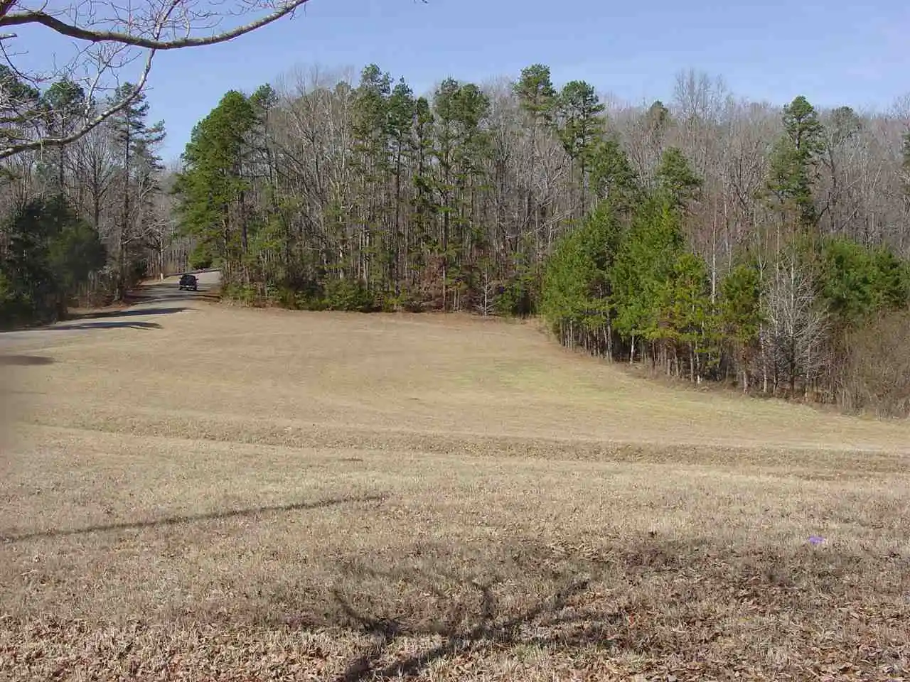 Photo 4 of Land for sale at Ymca S Muscatel & Ymca Ln, Counce, TN 38326 | MLS# 10020469 | Listing updated on 2026-05-23