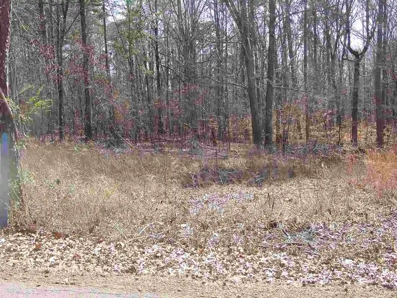 12th image of Ymca S Muscatel & Ymca Ln, Counce, TN 38326 | MLS# 10020469