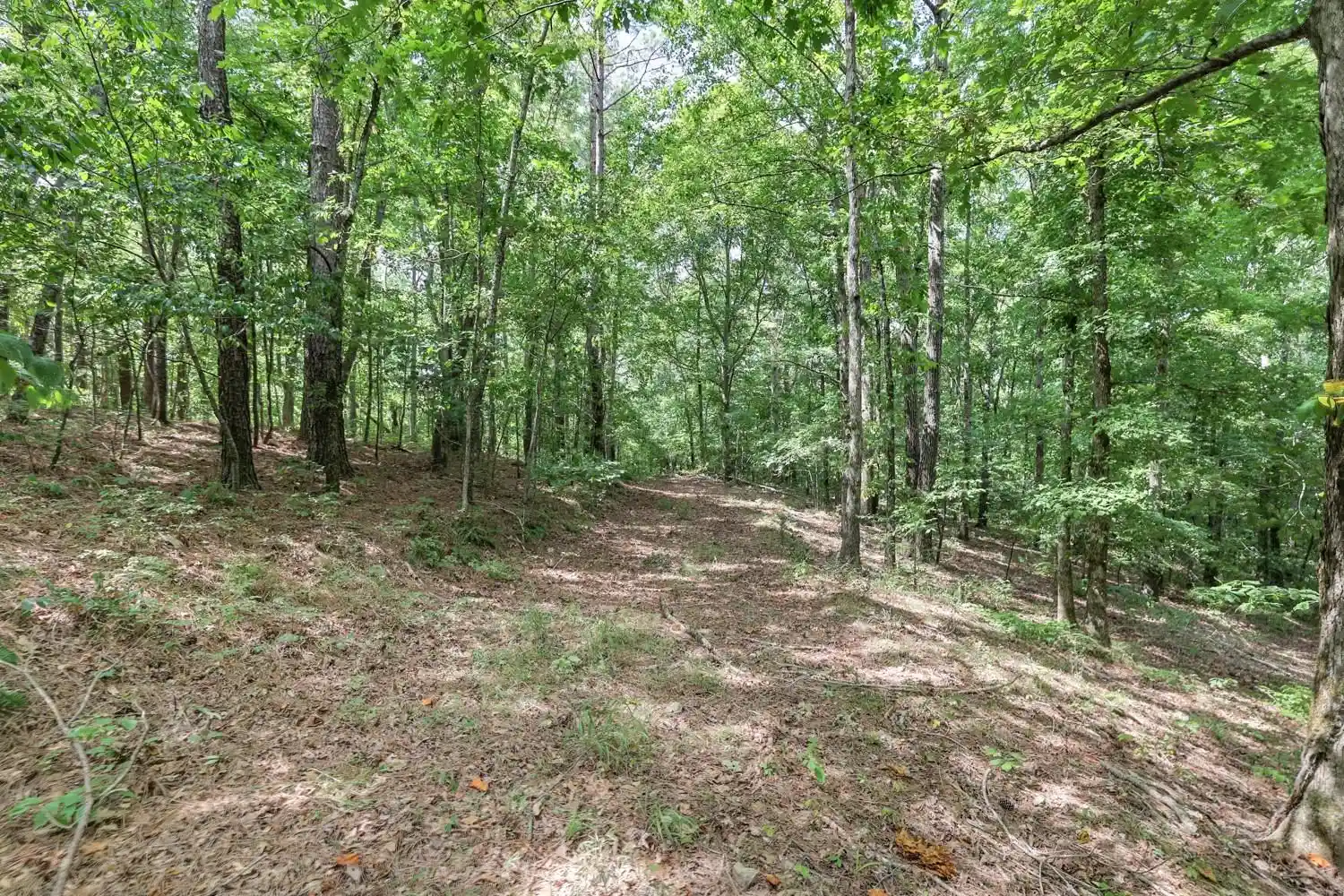 Photo 3 of Sale Pending at 208 Kro Hollow Rd Rd, Hohenwald, TN 38462 | MLS# 10132828 | Listing updated on 2022-12-14