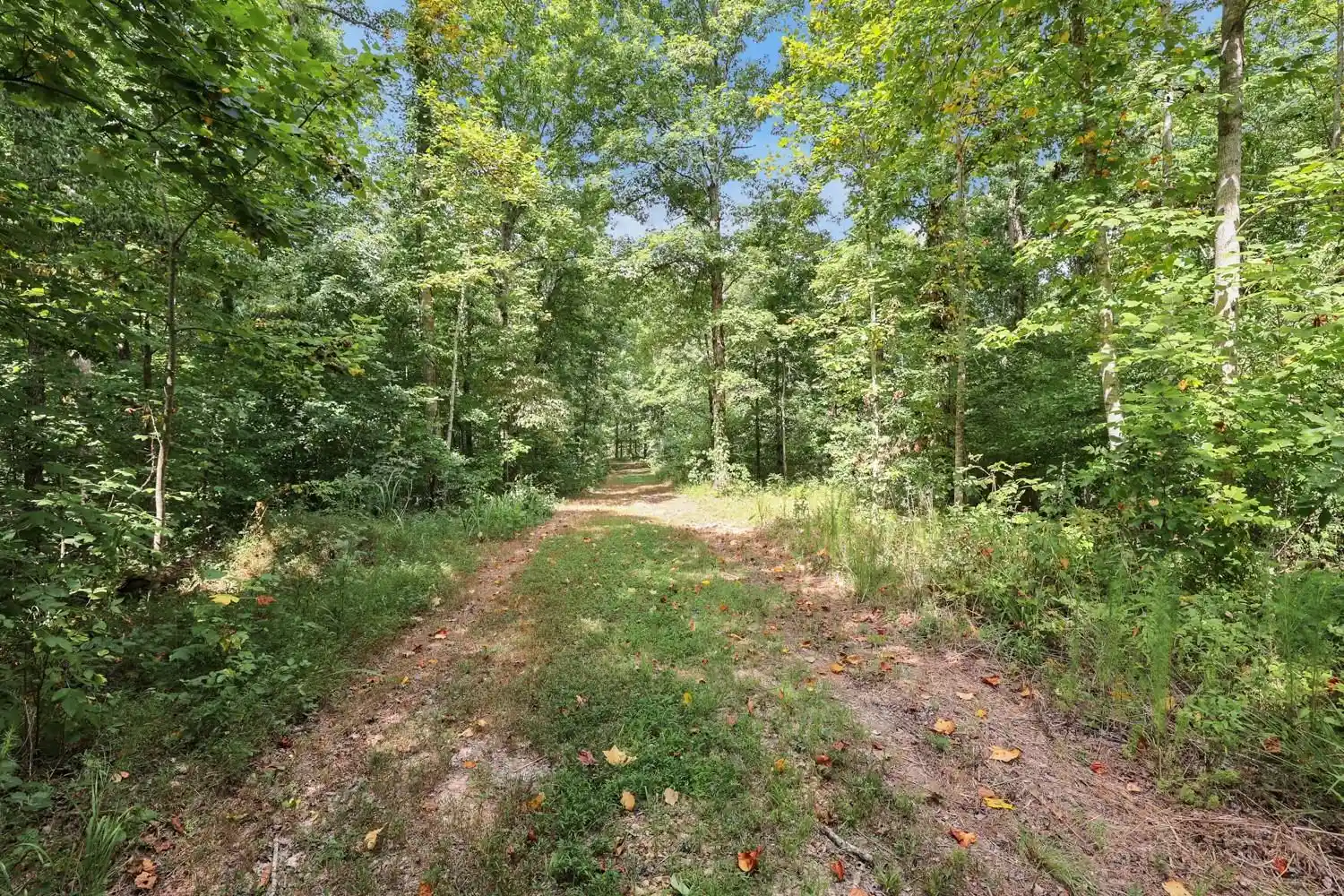 Photo 3 of Sale Pending at 208 Kro Hollow Rd Rd, Hohenwald, TN 38462 | MLS# 10132828 | Listing updated on 2022-12-14
