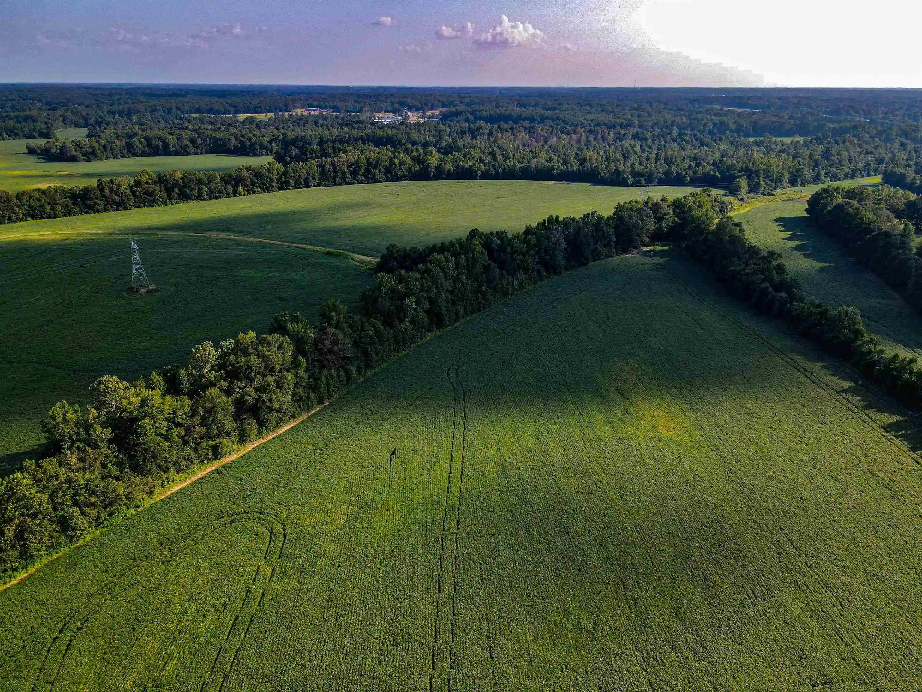 Photo 3 of Land for sale at Bragg Rd, Eads, TN 38028 | MLS# 10154586 | Listing updated on 2026-08-11