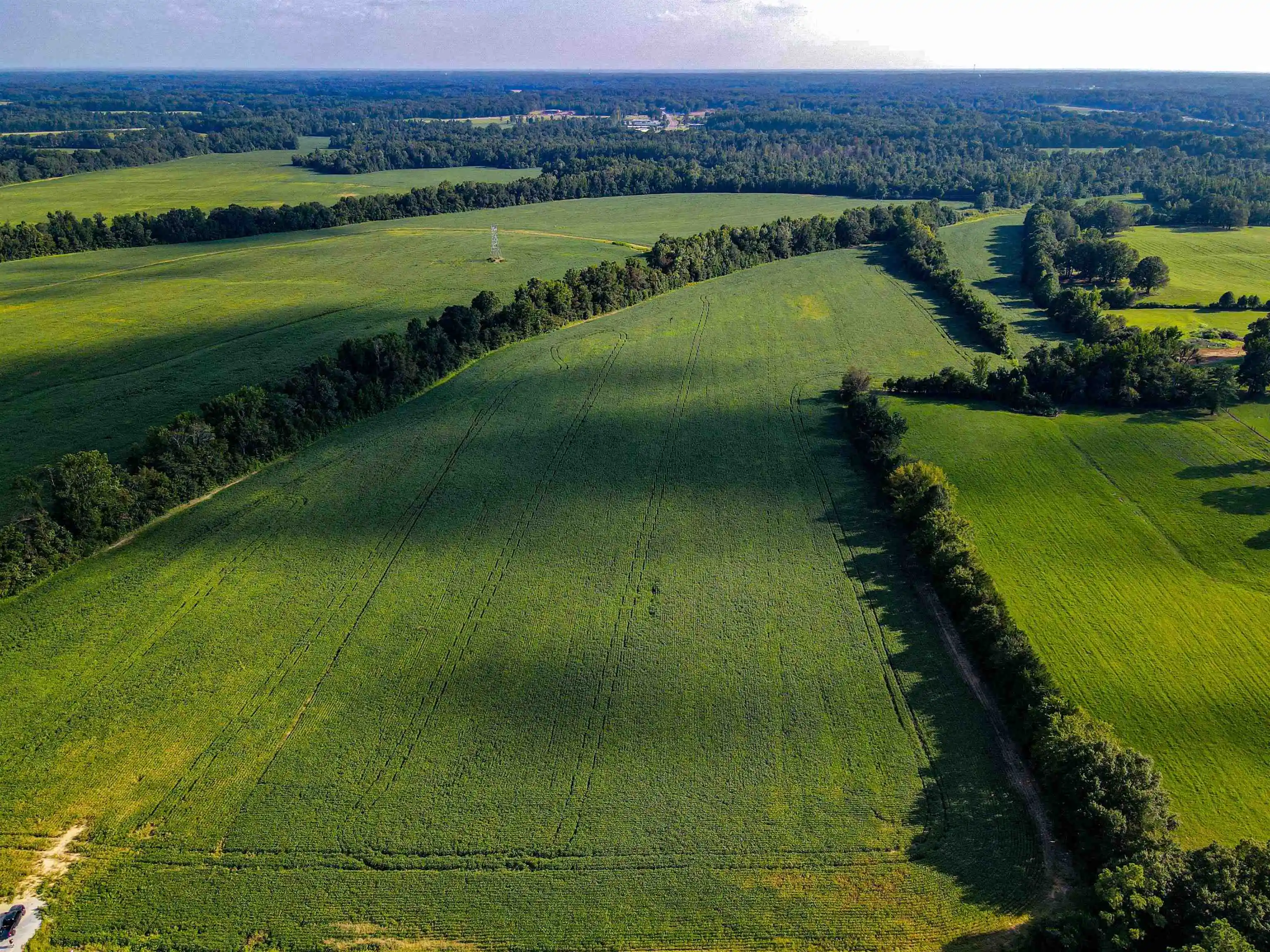 Photo 4 of Land for sale at Bragg Rd, Eads, TN 38028 | MLS# 10154586 | Listing updated on 2026-08-11