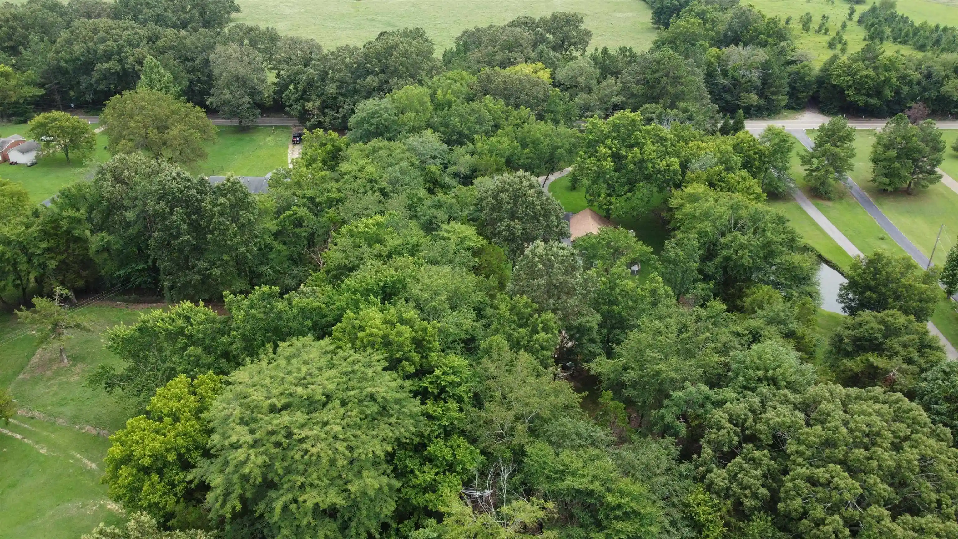 Photo 4 of Land for sale at 0 Macon Rd, Eads, TN 38028 | MLS# 10156758 | Listing updated on 2026-10-02