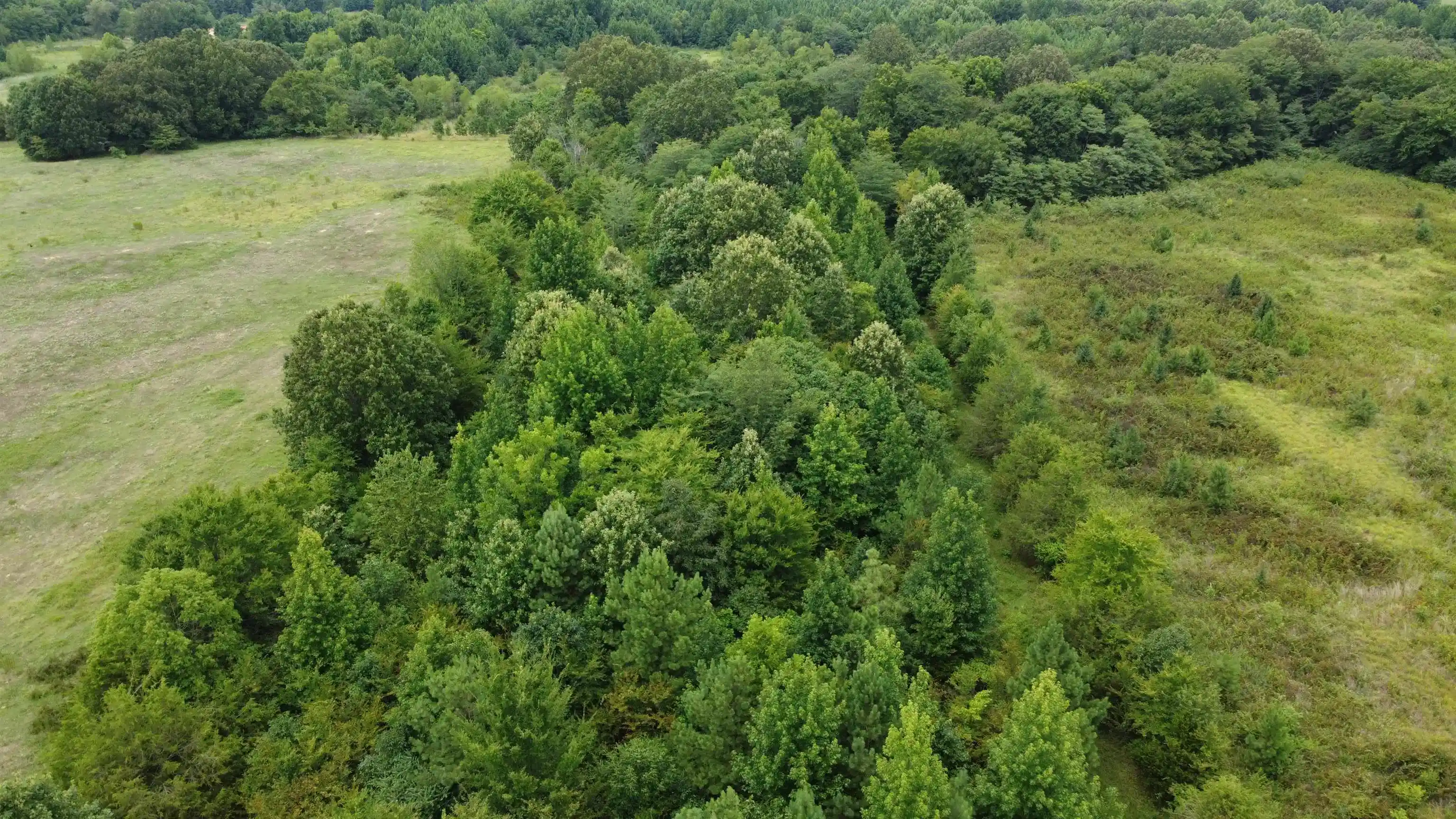 8th image of 0 Macon Rd, Eads, TN 38028 | MLS# 10156758