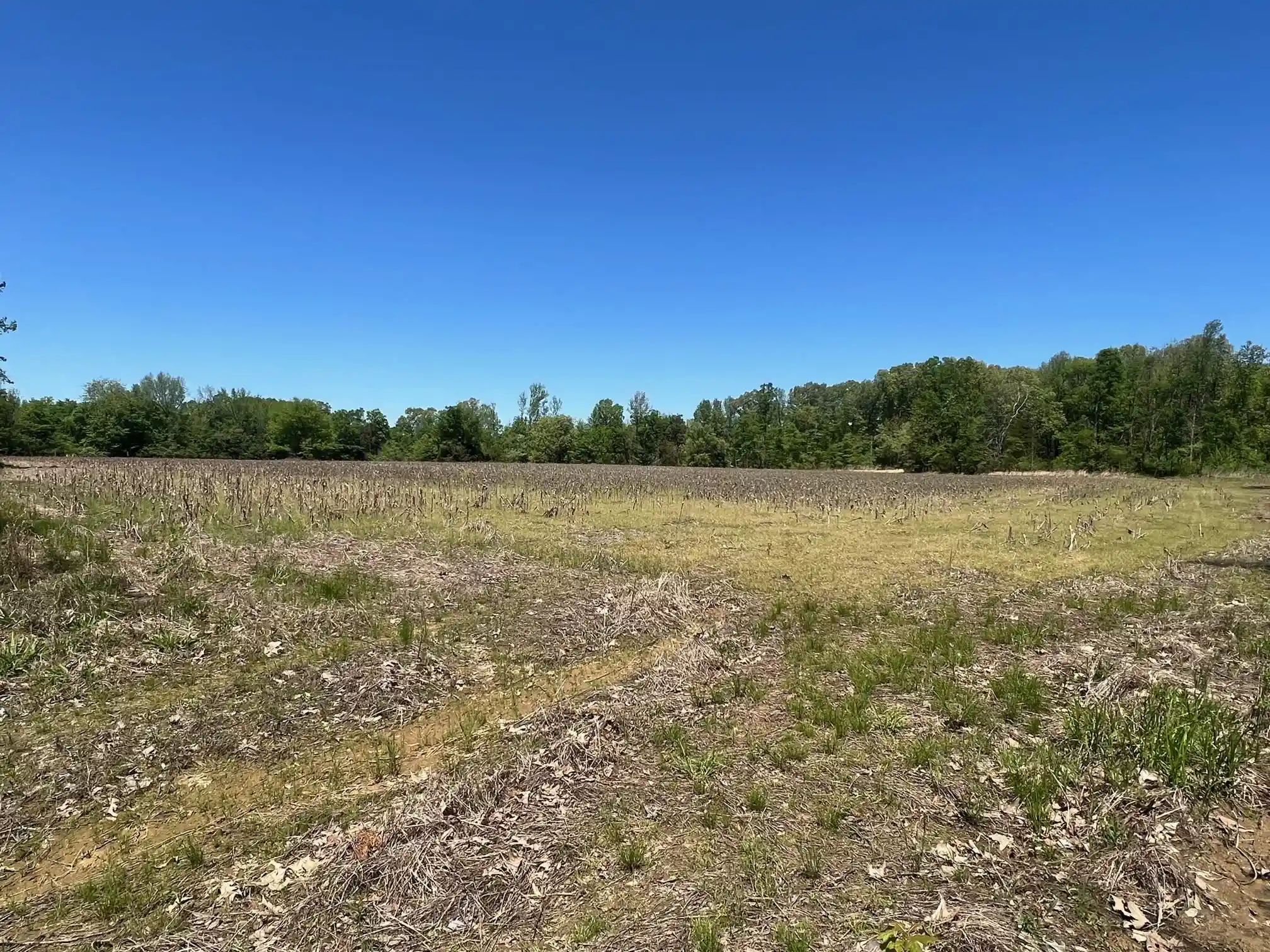 Photo 1 of Land for sale at 27 Acres Sycamore Rd, Collierville, TN 38017 | MLS# 10160007 | Listing updated on 2026-07-30