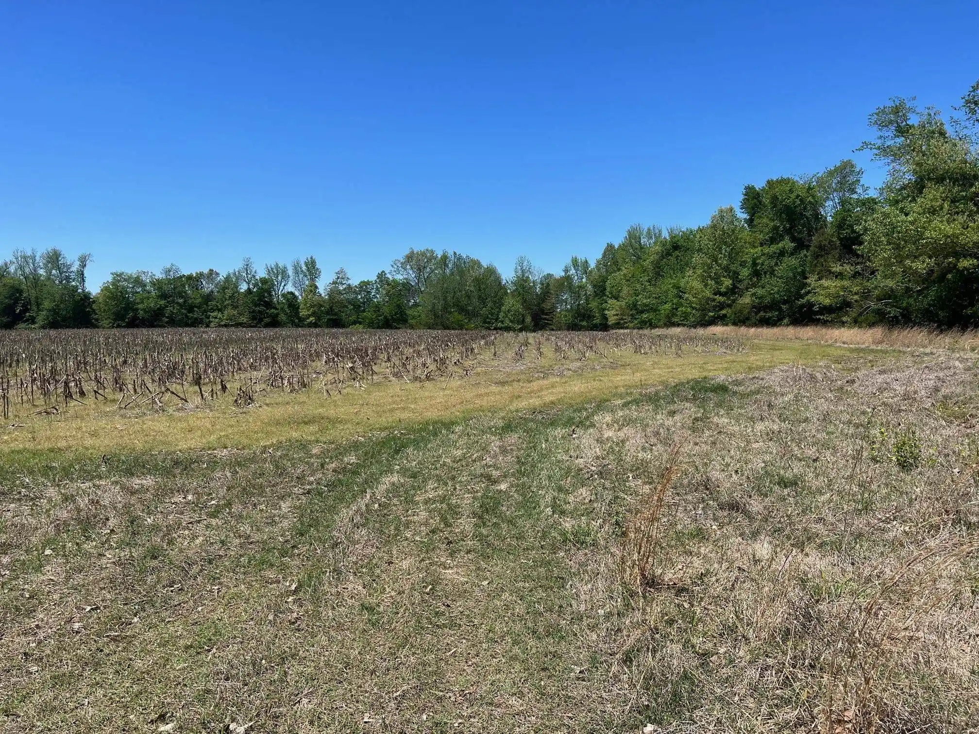Photo 2 of Land for sale at 27 Acres Sycamore Rd, Collierville, TN 38017 | MLS# 10160007 | Listing updated on 2026-07-30