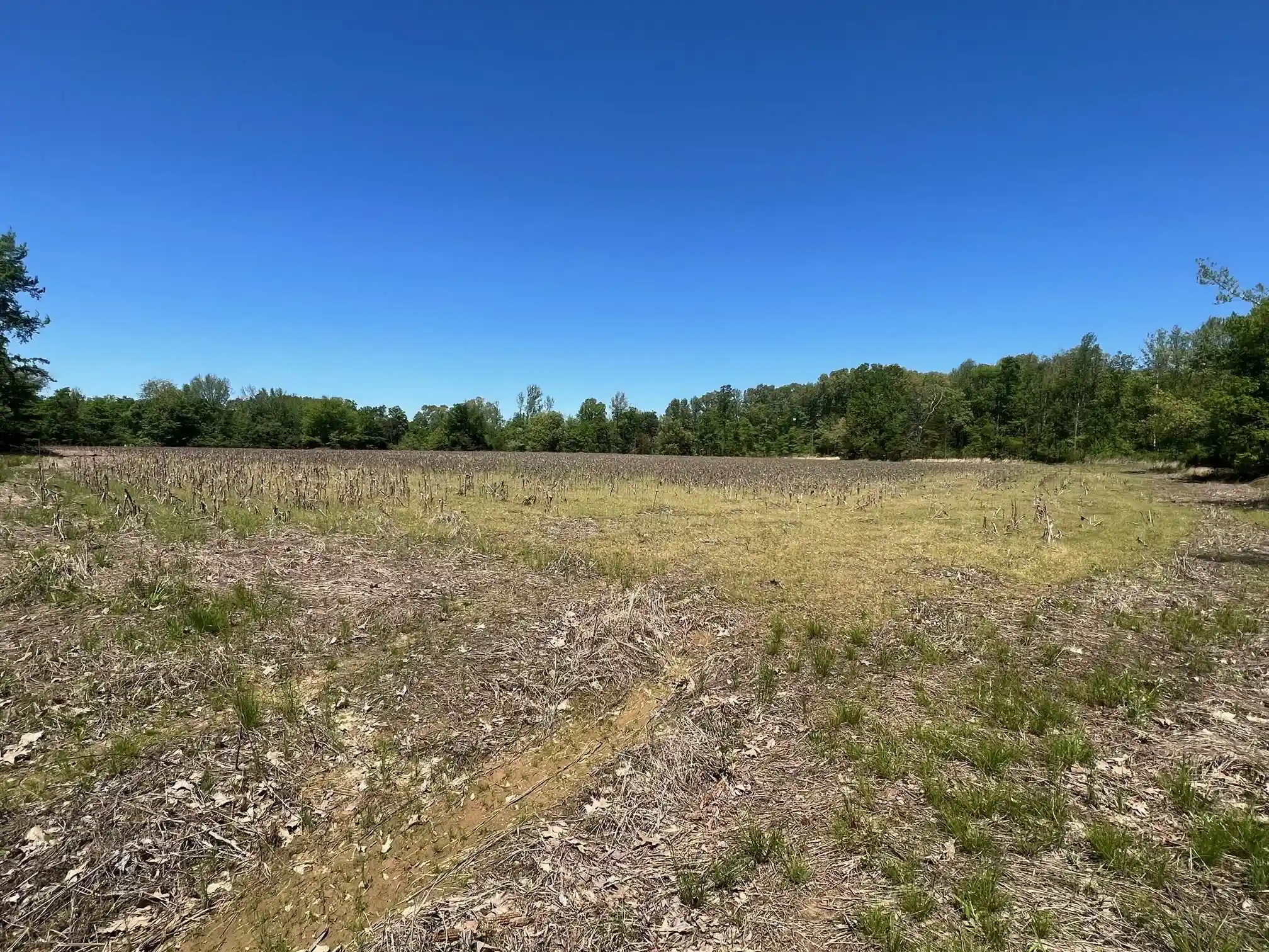 Photo 3 of Land for sale at 27 Acres Sycamore Rd, Collierville, TN 38017 | MLS# 10160007 | Listing updated on 2026-07-30