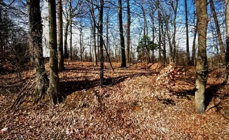 1st image of 3273 S Gill Rd, Memphis, TN 38109 | MLS# 10171149
