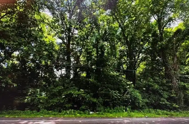 Photo 1 of Land for sale at 47 E Brooks Rd, Memphis, TN 38109 | MLS# 10171150 | Listing updated on 2026-07-20