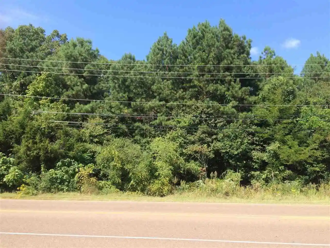 13th image of Old Brownsville Rd, Bartlett, TN 38135 | MLS# 10174206