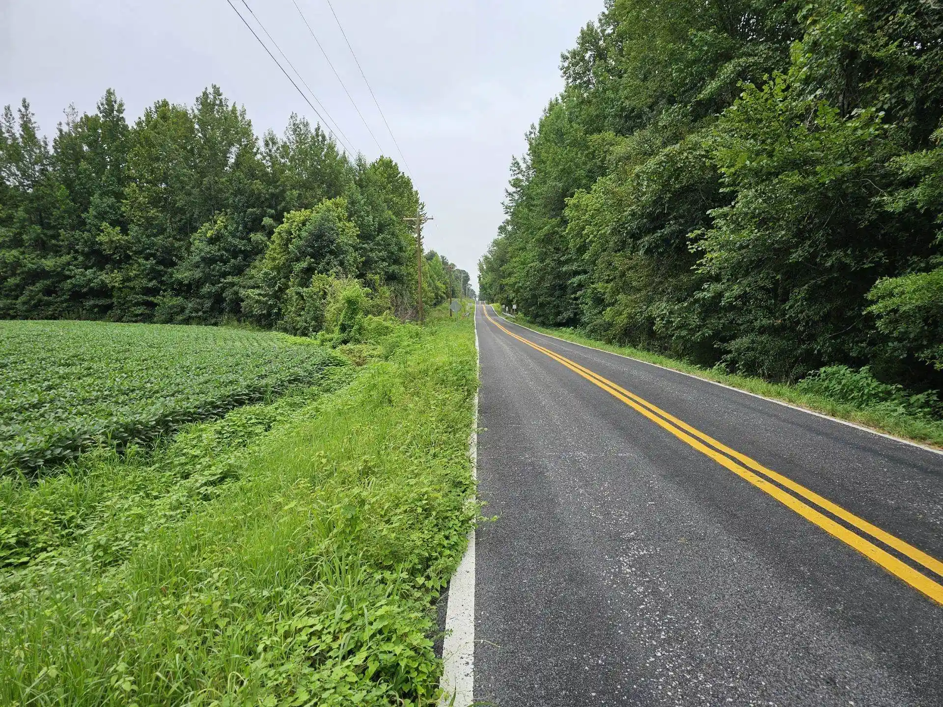 2nd image of Hwy 125 Hwy, Henderson, TN 38340 | MLS# 10179487