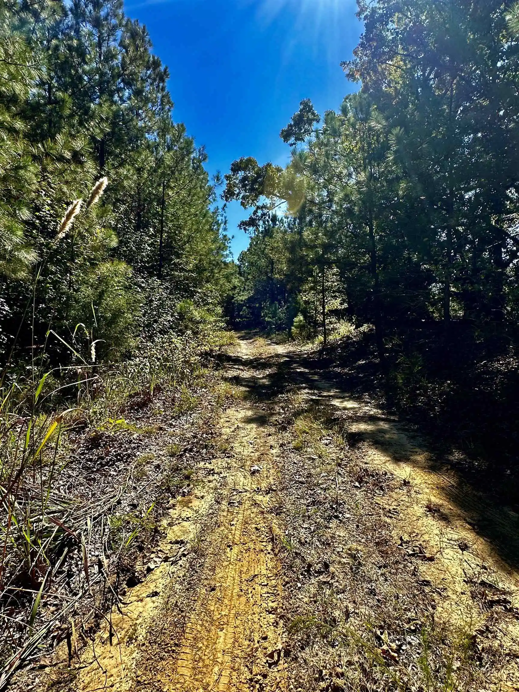 2nd image of Connie Smith Rd, Selmer, TN 38375 | MLS# 10183432