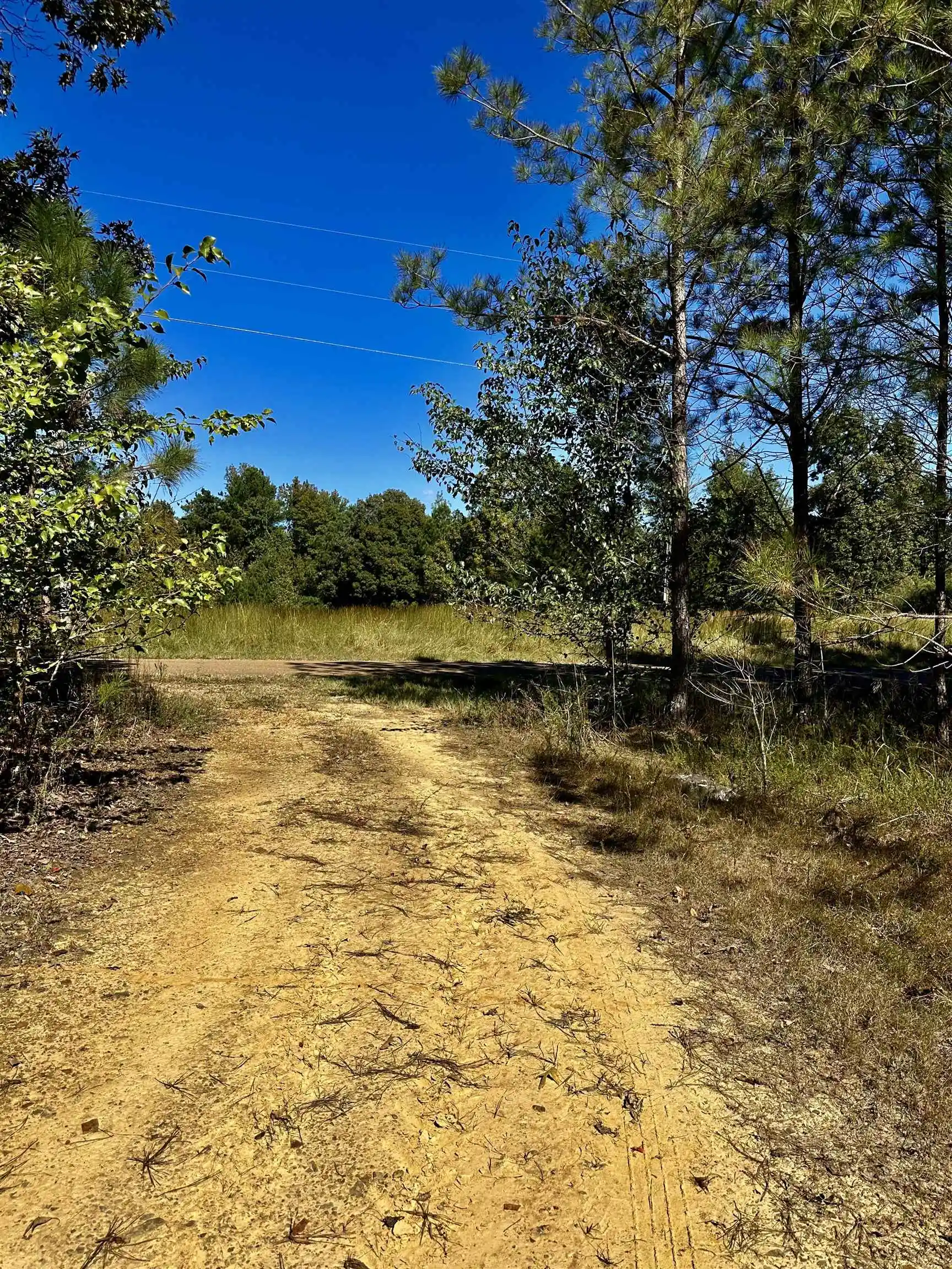 3rd image of Connie Smith Rd, Selmer, TN 38375 | MLS# 10183432