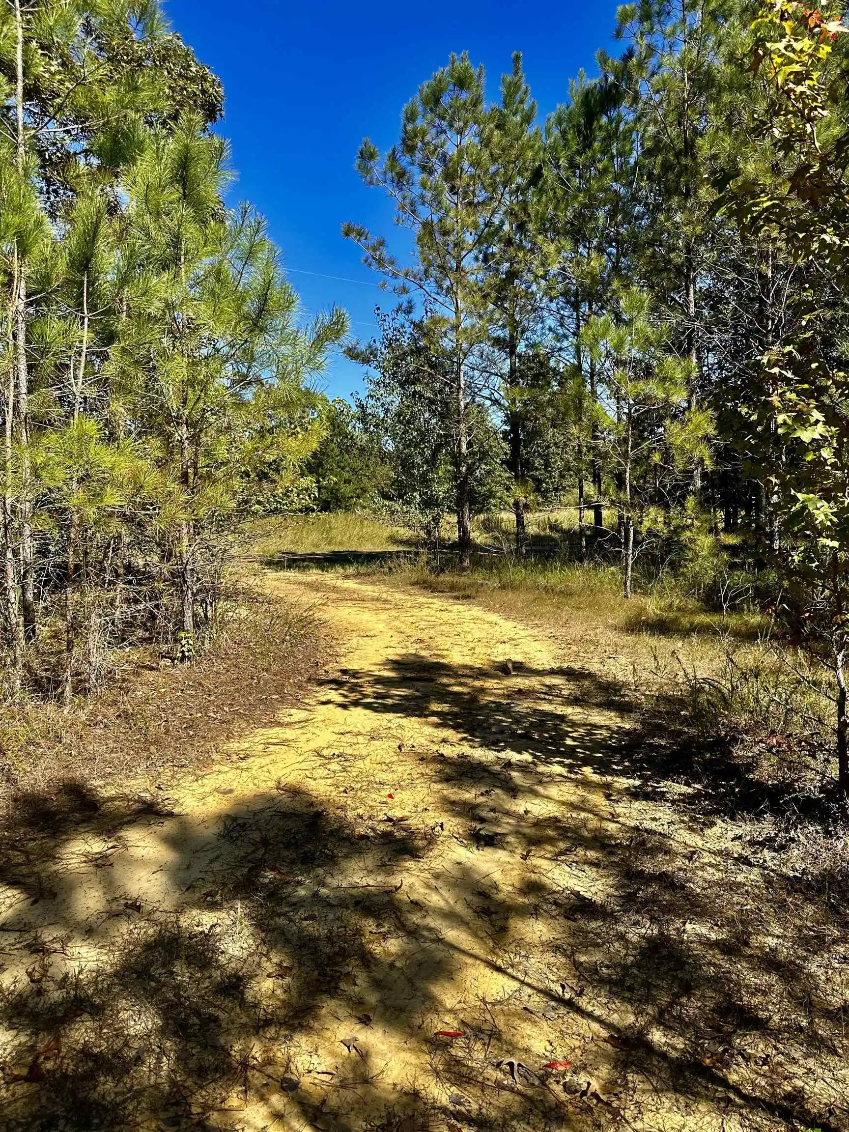 4th image of Connie Smith Rd, Selmer, TN 38375 | MLS# 10183432
