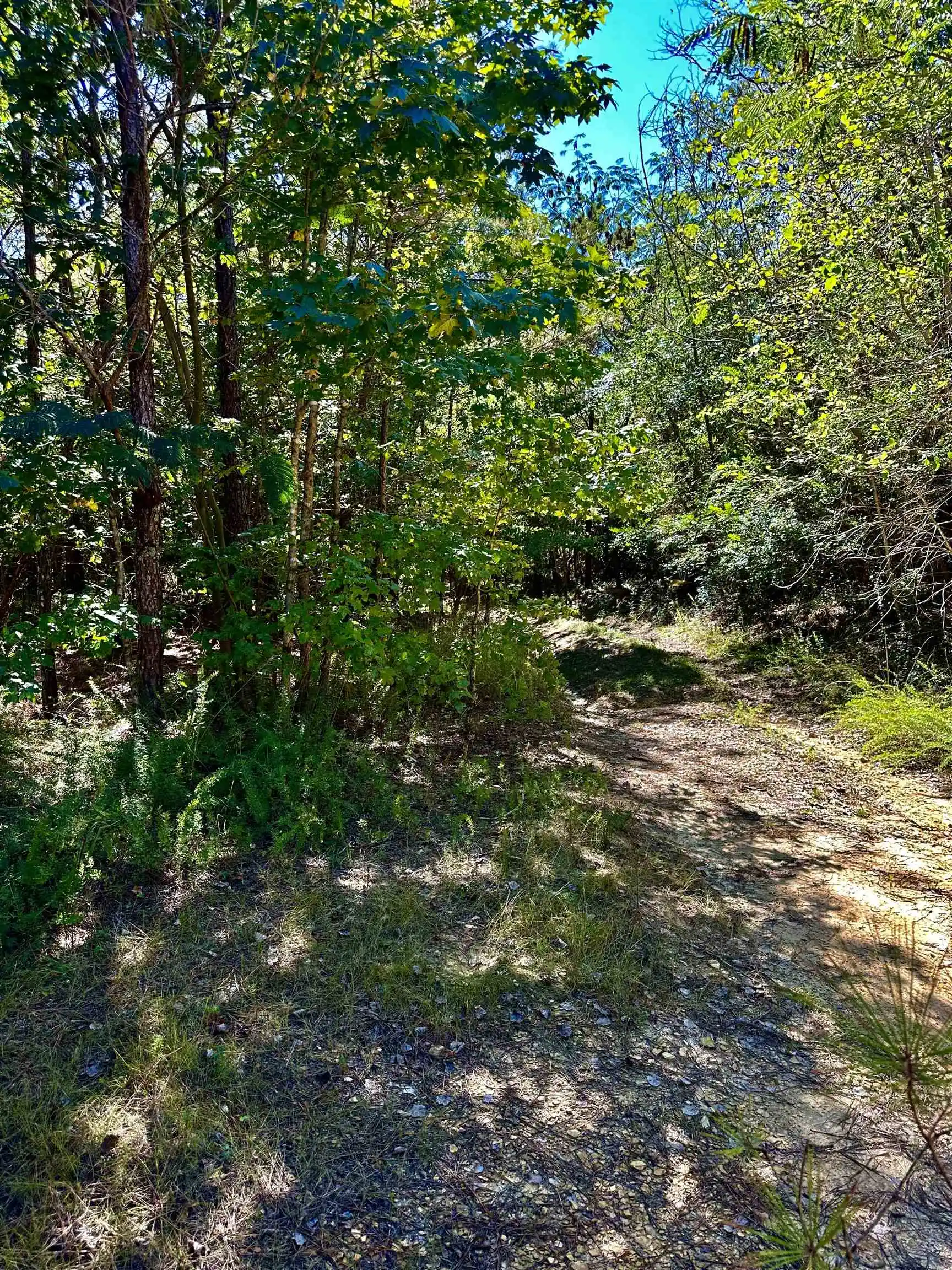 13th image of Connie Smith Rd, Selmer, TN 38375 | MLS# 10183432