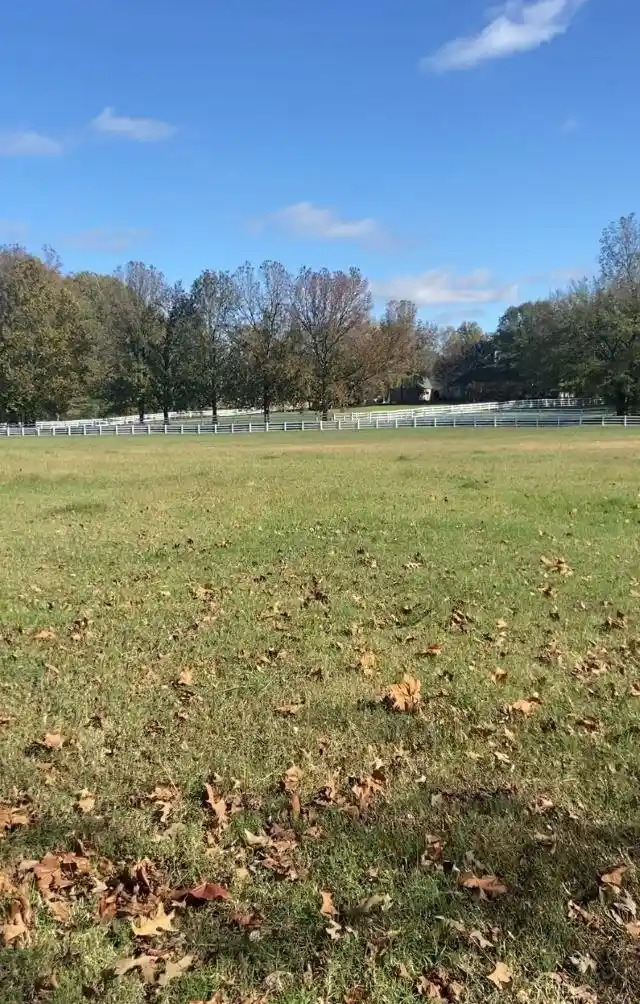 Photo 3 of Land for sale at 0 Lexington Manor Cv #22, Eads, TN 38028 | MLS# 10185176 | Listing updated on 2026-09-03