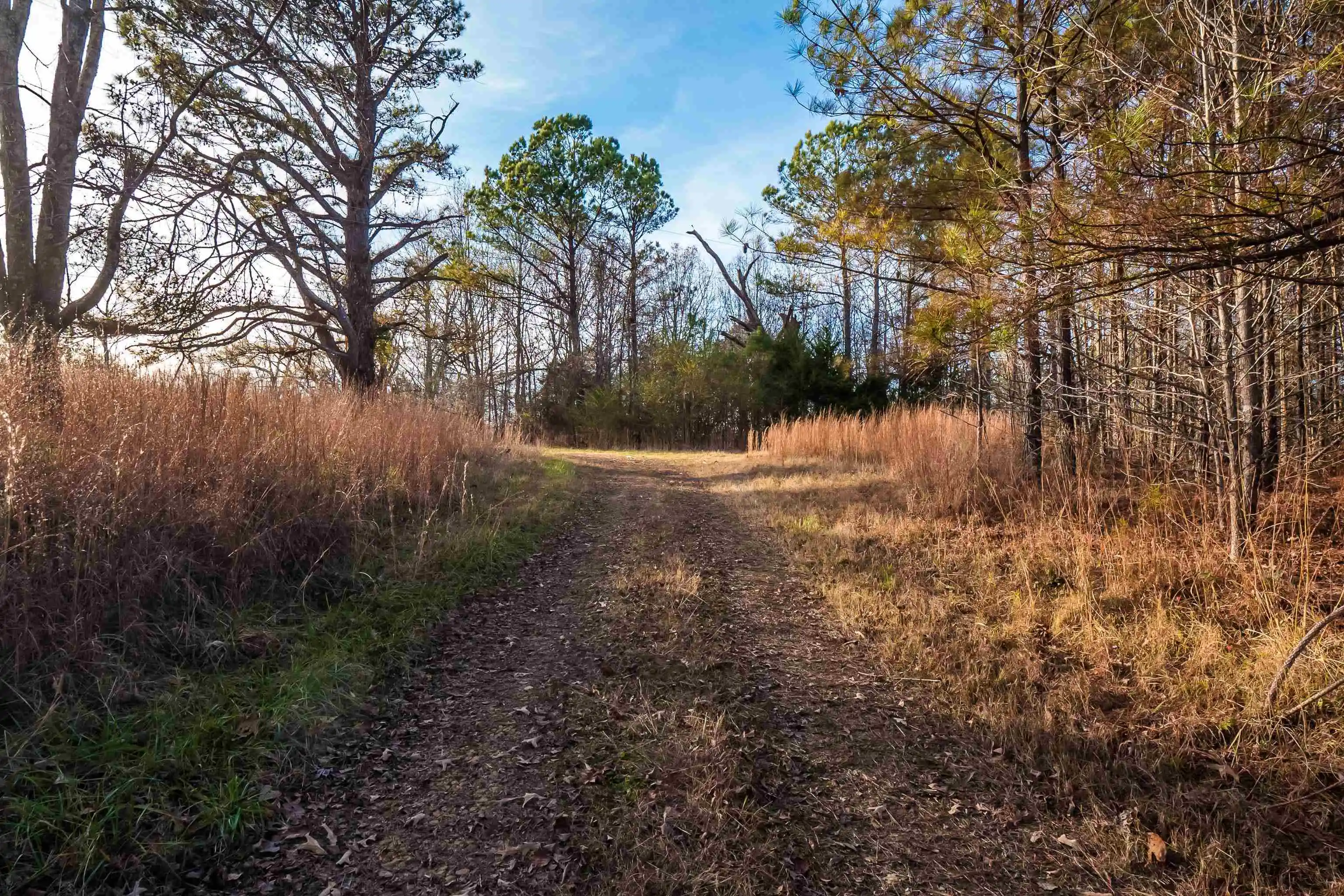 Photo 3 of Land for sale at 4450 Armour Dr, Somerville, TN 38068 | MLS# 10187568 | Listing updated on 2026-05-27