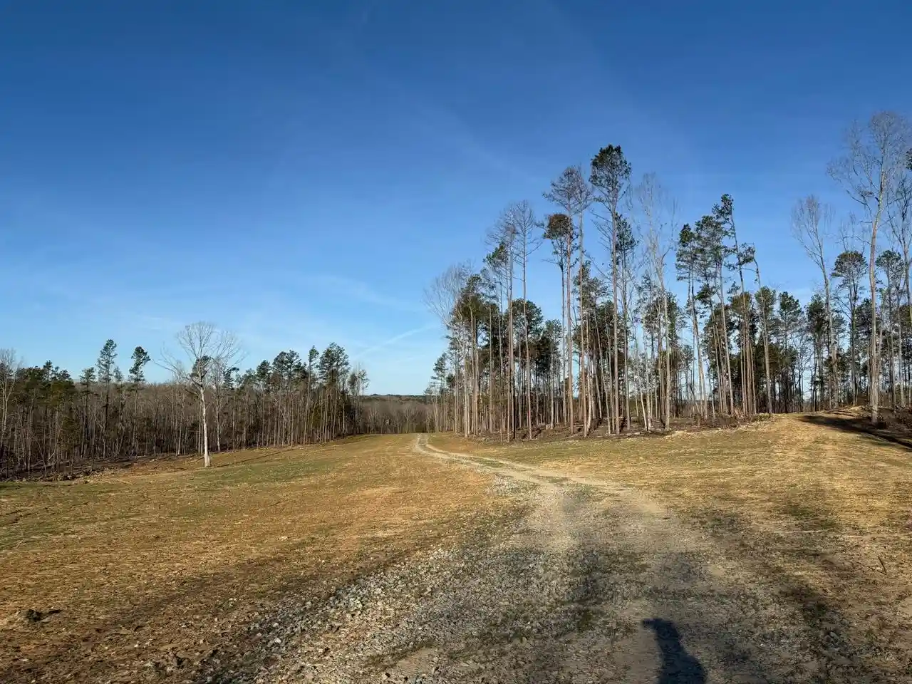 Homes for sale in Middleton, TN | 0 Old Enon Rd, Middleton, TN 38052 | MLS# 10191829
