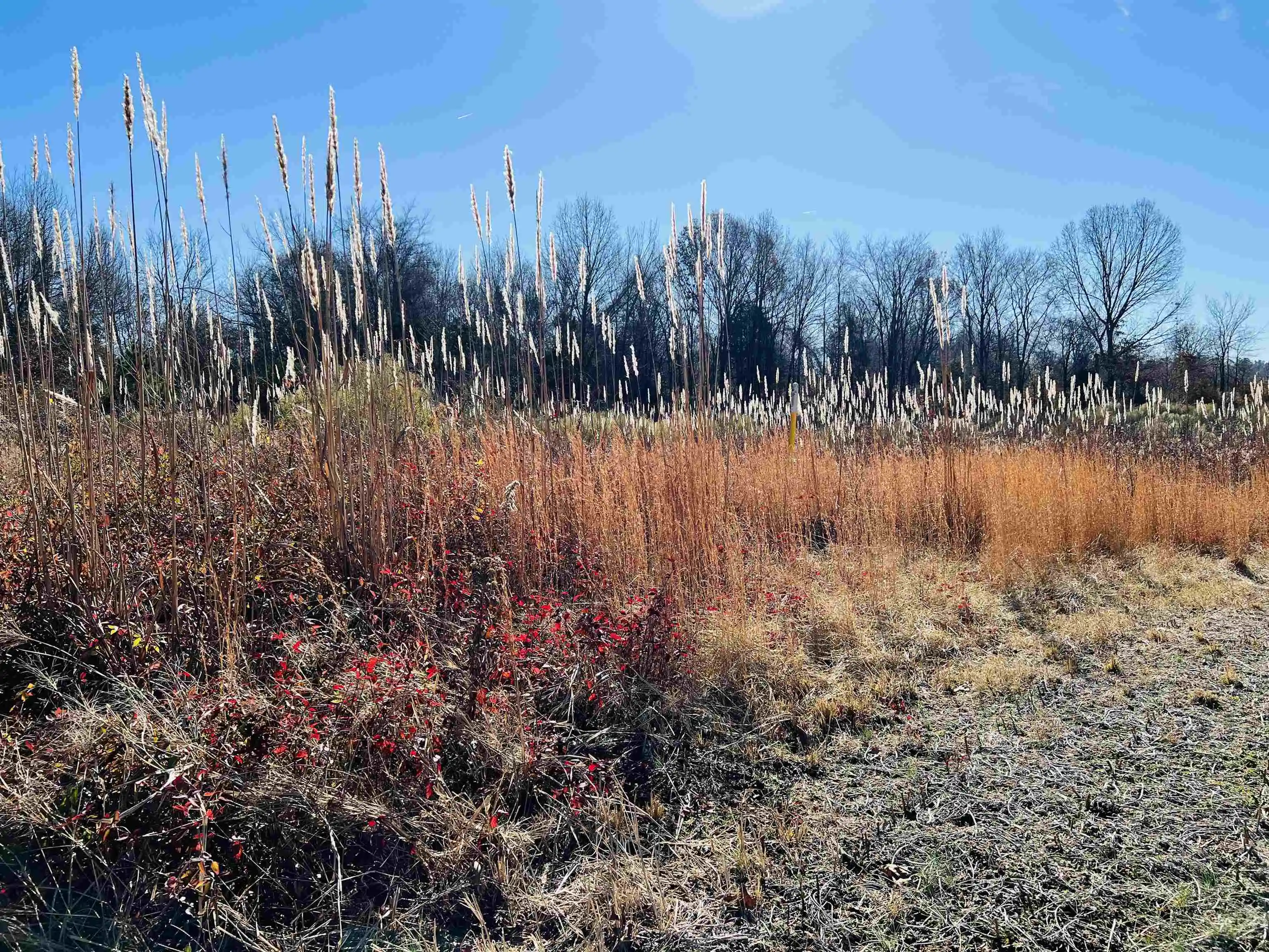 Photo 3 of Land for sale at 0 Sellers Dr, Oakland, TN 38060 | MLS# 10195078 | Listing updated on 2026-04-23