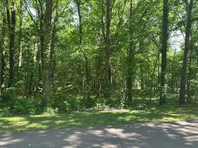 Photo 2 of Land for sale at 0 Old Crk Rd, Memphis, TN 38125 | MLS# 10195288 | Listing updated on 2026-02-03