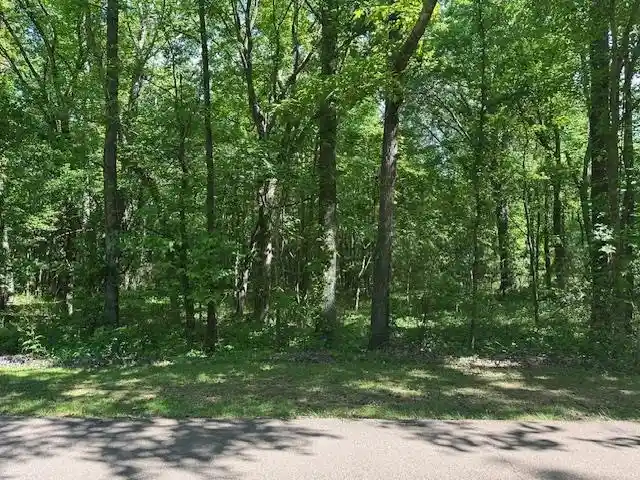 Photo 3 of Land for sale at 0 Old Crk Rd, Memphis, TN 38125 | MLS# 10195288 | Listing updated on 2026-02-03