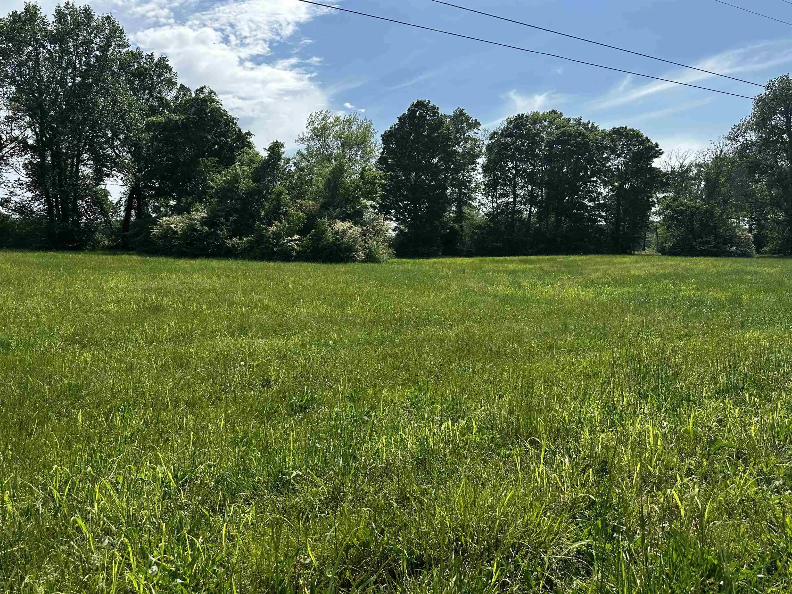 Photo 3 of Land for sale at Lot 21 Catfish Ln, Crump, TN 38327 | MLS# 10195837 | Listing updated on 2026-08-21