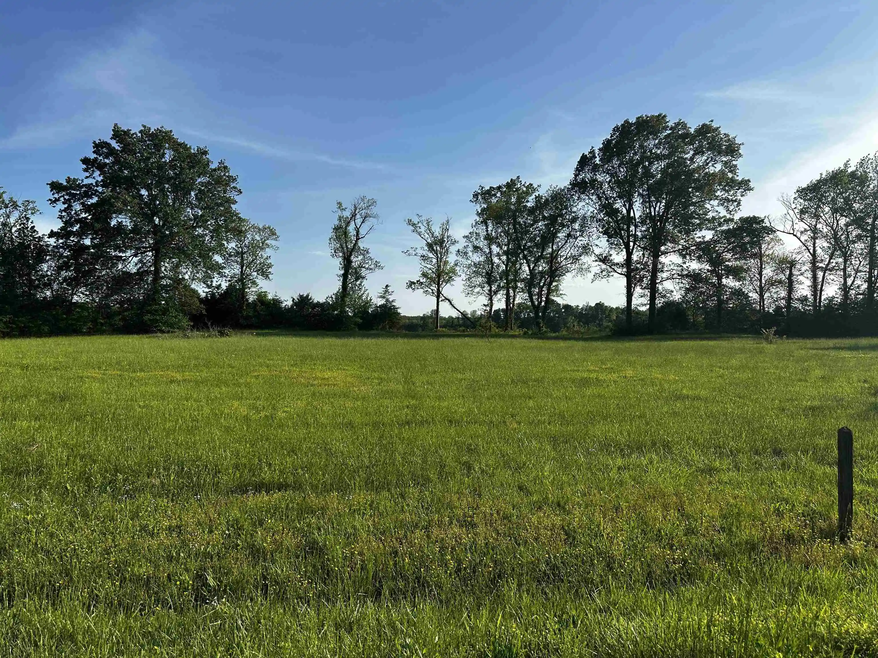 Photo 3 of Land for sale at Lot 31 Catfish Ln, Crump, TN 38327 | MLS# 10195862 | Listing updated on 2026-08-21