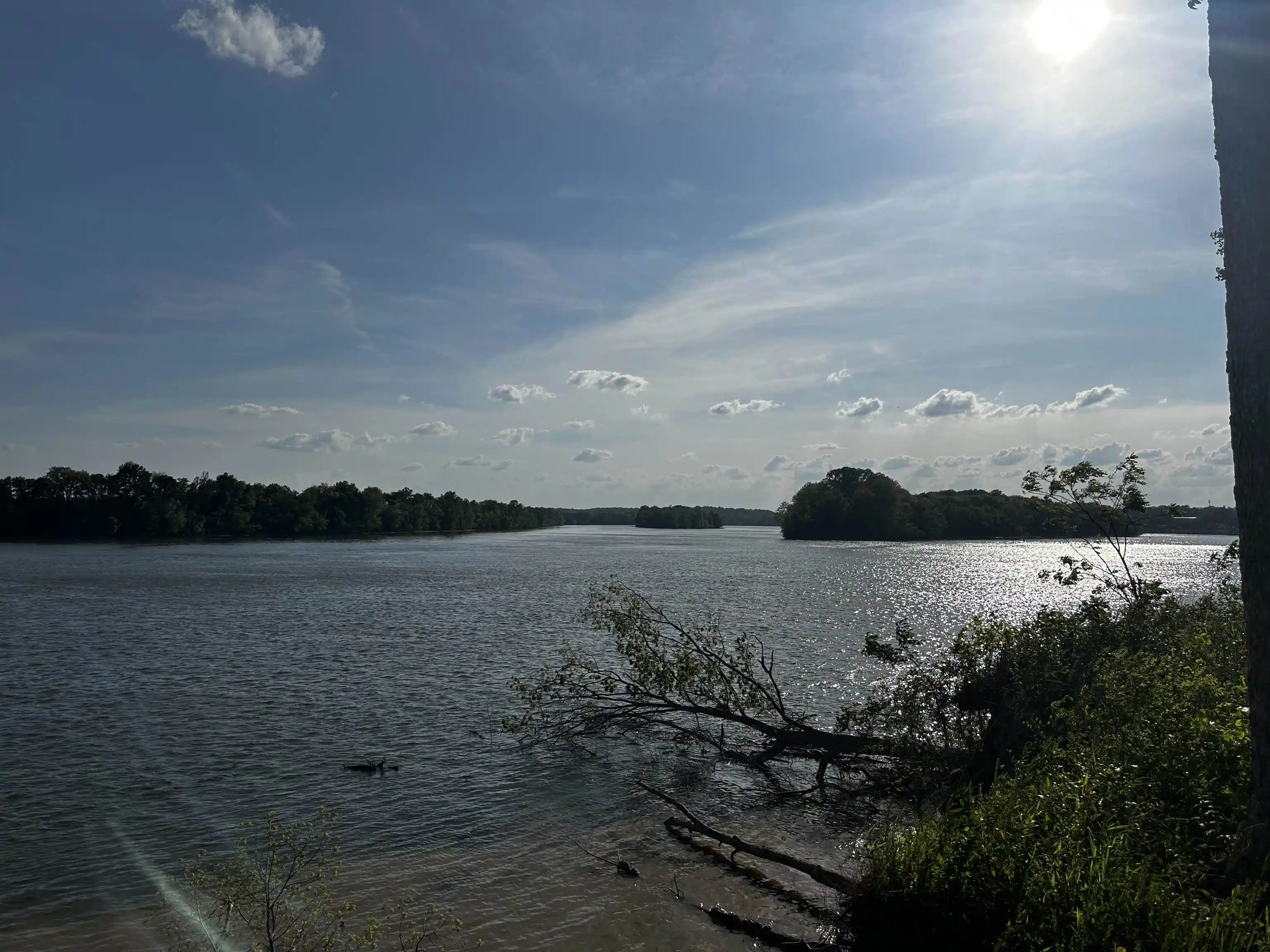 Photo 4 of Land for sale at Lot 31 Catfish Ln, Crump, TN 38327 | MLS# 10195862 | Listing updated on 2026-08-21